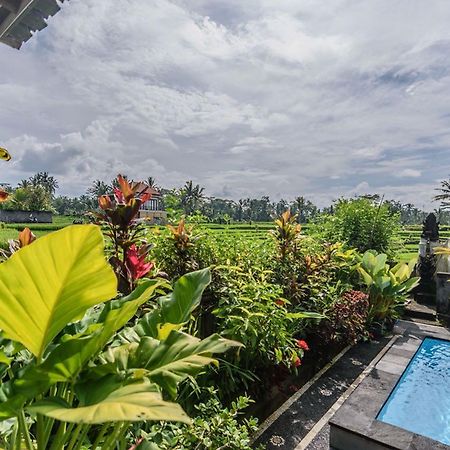 Pondok Anastasia Ubud Zewnętrze zdjęcie
