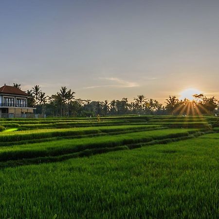 Pondok Anastasia Ubud Zewnętrze zdjęcie