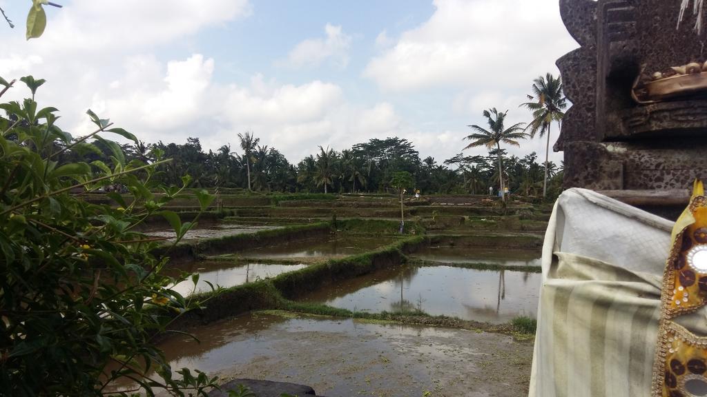 Pondok Anastasia Ubud Zewnętrze zdjęcie