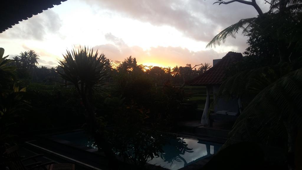 Pondok Anastasia Ubud Zewnętrze zdjęcie