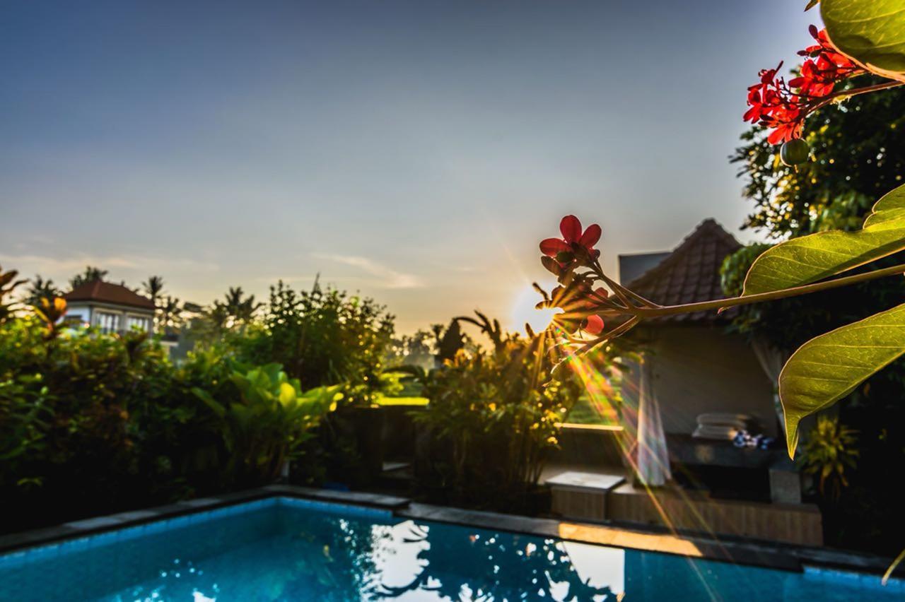 Pondok Anastasia Ubud Zewnętrze zdjęcie